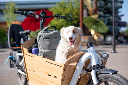 Are Electric Bikes High Maintenance?