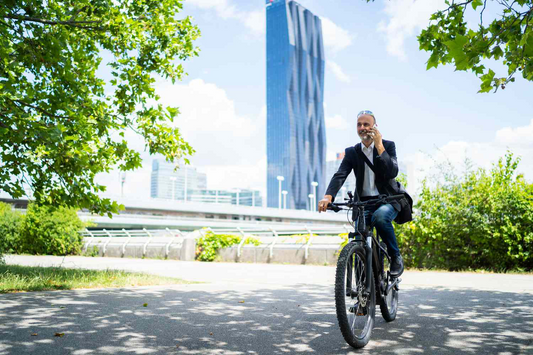 How to Use an E-bike to Earn Money: Food & Drink Delivery, Courier Service for a Small Company, Rental Fleet, Tours, and Repair Service