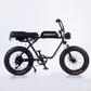 S5 electric mountain bike